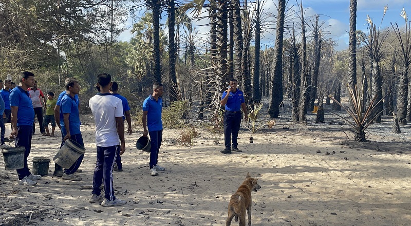 மன்னாரில் தீ விபத்து பல ஏக்கர் காடுகள் எரிந்து நாசம்