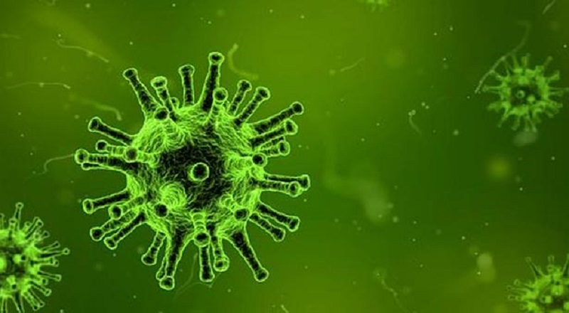 நிபா’ வைரஸ் இலங்கைக்கு வருவதற்கான அபாயம் மிகவும் குறைவு