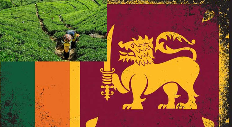 இலங்கைக்கு  சிலோன் என பெயர் மாற்றினால்  பொருளாதார ரீதியில் வளம் மிகுந்த நாடாக மாறும்: இந்திய பிரபல ஜோதிடர் 