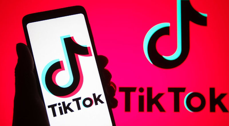 குடும்பத் தலைவர் மீது தாக்குதல் நடத்தி டிக்டொக்கில் வெளியிட்ட  கும்பல் கைது!