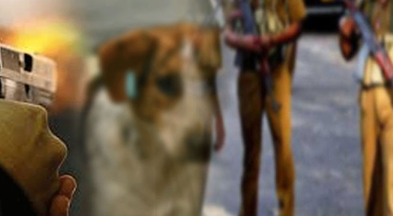 சுற்றிவளைப்பின் போது பொலிஸாரின் துப்பாக்கிச் சூட்டில் 19 வயது இளைஞன்  காயம்