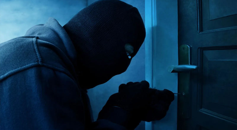 பூட்டிய வீடுகளுக்குள் திருடும் பகல் திருடனைக் கைது செய்த பொலிஸார்