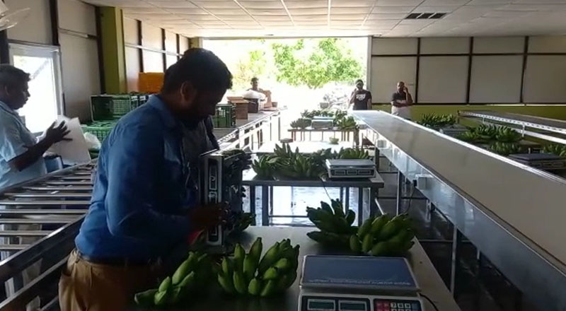 யாழில்  உள்ள பல வியாபார மையங்களில் திடீர் பரிசோதனை!