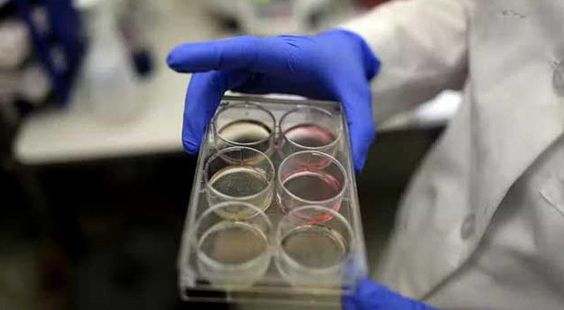 HMPV வைரஸ் குறித்து சுகாதாரத் துறையினர் எச்சரிக்கை!