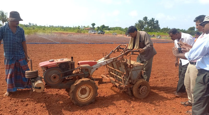 வெங்காயம் நடுகை செய்யும் இயந்திரத்தை கண்டுபிடித்த யாழ் விவசாயி!