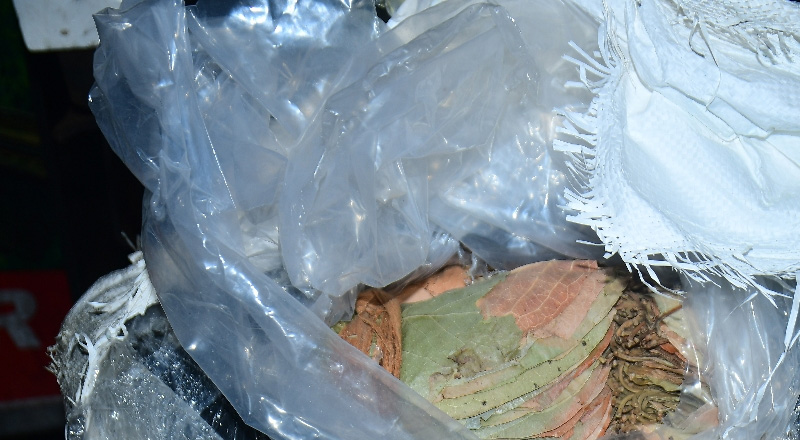 இன்று புத்தளம் பாலாவியில் சட்டவிரோத பீடி இலைகளுடன் 3 பேர் கைது