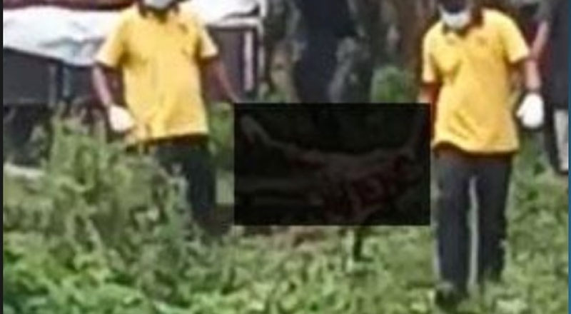 மருத்துவ மாணவர்களுக்கு பயிற்சி அளிக்க பயன்படுத்தப்படும் உடல் உறுப்புகள் பாதுகாப்பின்றி போடப்படுவதாக குற்றச்சாட்டு