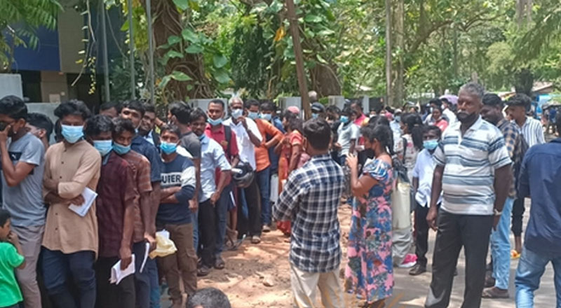 வவுனியாவில் கடவுச்சீட்டு அலுவலகத்திற்கு முன்பாக 5 பேர் கைது!