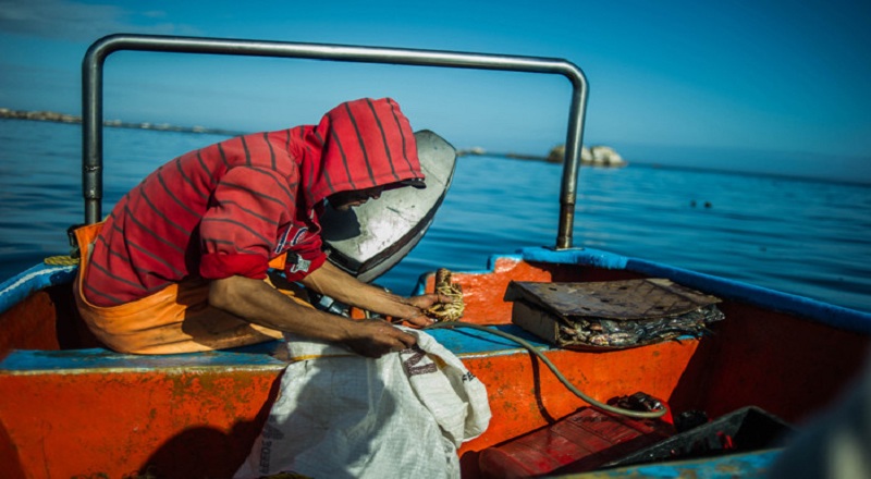 அண்மையில் சட்டவிரோத மீன்பிடியில் ஈடுபட்ட 26 பேர் இலங்கை கடற்படையினரால் கைது