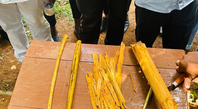 யாழ்ப்பாணத்தில் கறுவா செய்கை தொடர்பிலான செயலமர்வு:  பலரும் ஆர்வத்துடன் பங்கேற்பு