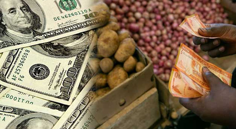 டொலர் மீண்டும் அதிகரித்ததால்இலங்கையில்  ஏற்பட்டுள்ள மாற்றம்!