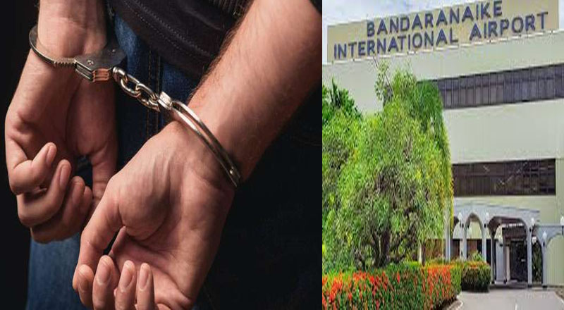 3 இலட்சம்  அமெரிக்க டொலர்கள்  மோசடி: கட்டுநாயக்கவில் கைது செய்யப்பட்ட நபர்