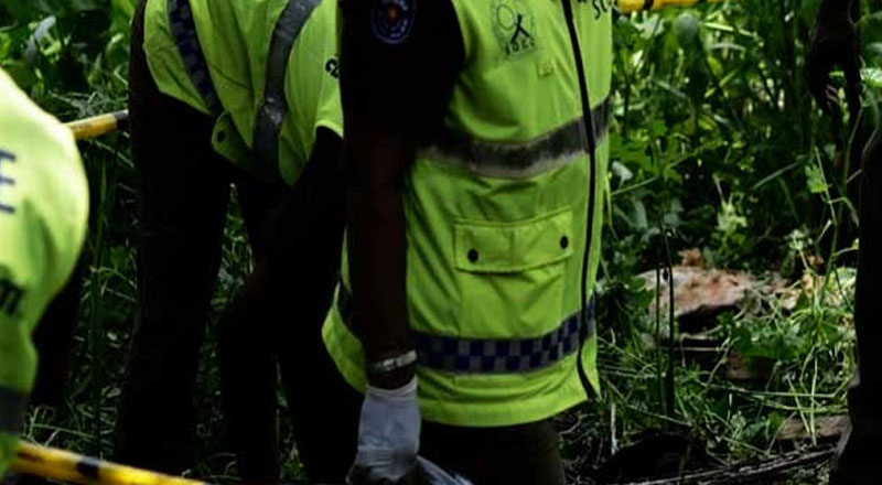 சதுப்பு நிலத்தில் ஒரு நபரின் உடல் பாகங்கள் கண்டெடுப்பு