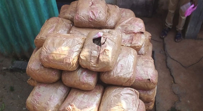 மன்னாரில் மறைத்து வைக்கப்பட்டிருந்த 3 கோடி மதிப்புள்ள கேரள கஞ்சா கண்டுபிடிப்பு