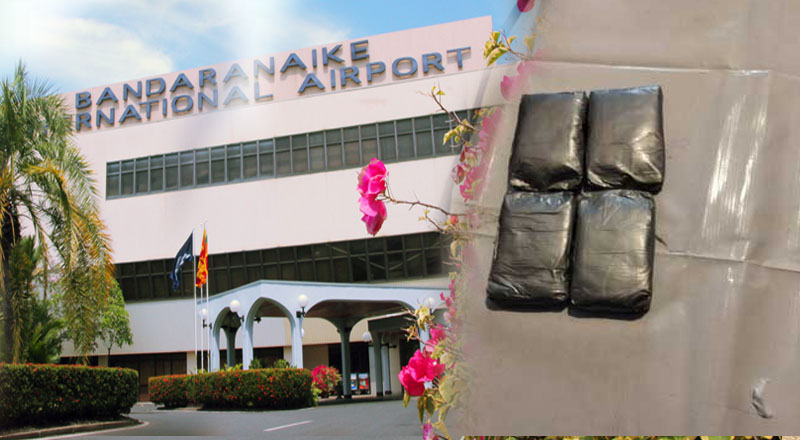 சட்டவிரோதமான முறையில் தங்கக் கரைசலைக் கடத்த முயன்ற இளம் பெண்  கைது