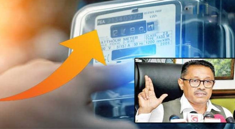 தவறான தரவுகளின் அடிப்படையில் மின்கட்டணம் அதிகரிக்கப்பட்டது என்பது நிரூபணமாகியுள்ளது: முன்னாள் தலைவர் ஜானக