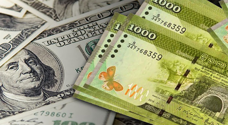 மத்திய வங்கி 15 நாணயமாற்று நிறுவனங்களைின் உரிமையை இரத்துச் செய்துள்ளது