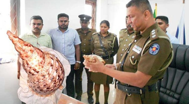 560 இலட்சம் பெறுமதியான சட்டவிரோத பொருட்களுடன் ஒரே குடும்பத்தைச் சேர்ந்த மூவர் உட்பட 6 பேர்  கைது