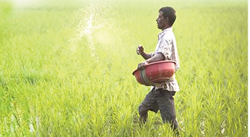 மற்றொரு வகை ரசாயன உரத்தை  விவசாயிகளுக்கு இலவசமாக வழங்க விவசாய அமைச்சு தீர்மானம்