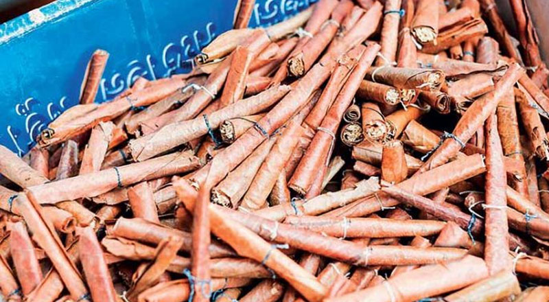 போலி பீடி இலைகளால் ஆவியான 525 கோடி ரூபாய்