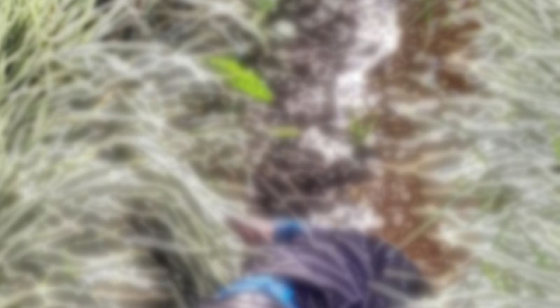 தேயிலை தொழிற்சாலை அருகில்   ஆண் ஒருவரின் சடலம் மீட்பு!