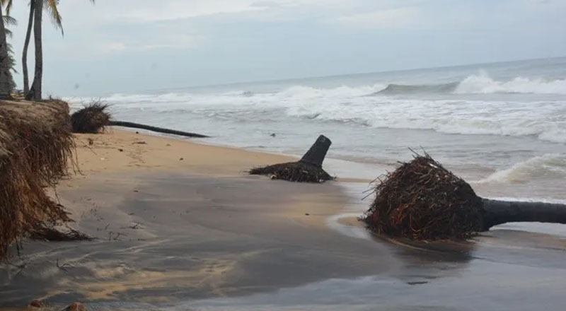 இலங்கையில் உள்ள 24 கடற்கரை பிரதேசங்களில்  வரவுள்ள மாற்றம்!