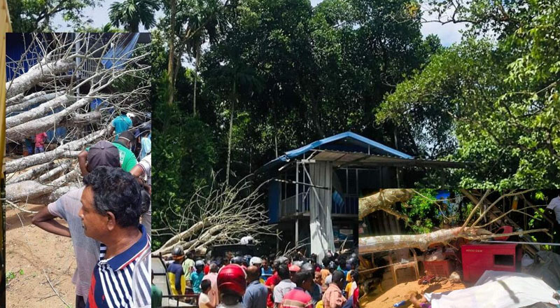 கராஜ் ஒன்றின் மீது மரம் வீழ்ந்ததில் இருவர் உயிரிழப்பு!