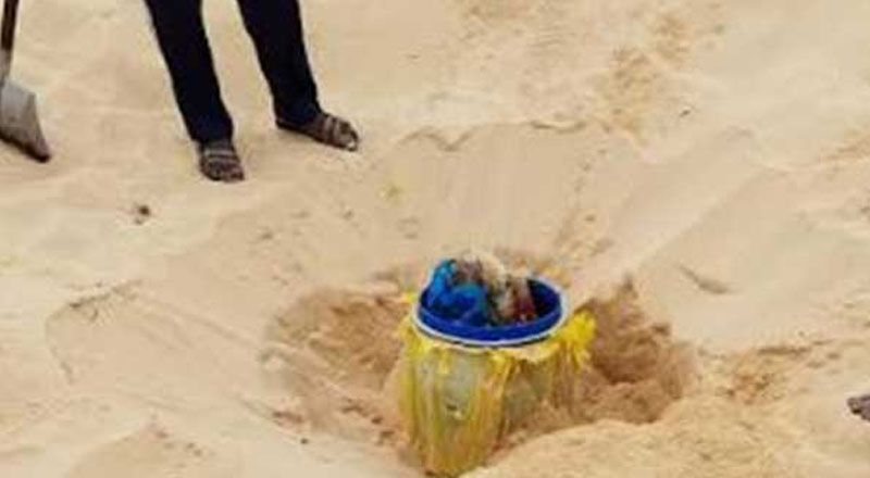 யாழ்ப்பாணத்தில் வெடி பொருட்கள் மீட்பு!