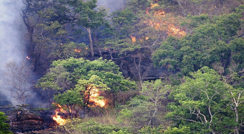 காட்டுத்தீ தொடர்பாக அனர்த்த முகாமைத்துவ மத்திய நிலையத்தின் முக்கிய அறிவிப்பு