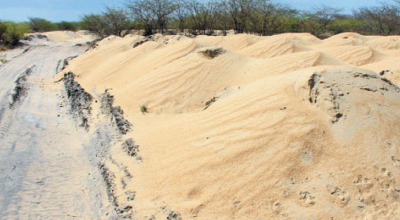 பதுக்கல் மணல்களை மீட்டு நியாயமான விலையில் மக்களுக்கு வழங்கும் நடவடிக்கை!