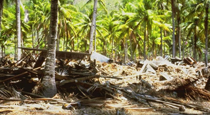 வடக்கில்  ஆரம்பிக்கப்படவுள்ள திட்டம்: அறிவிப்பு வெளியிட்ட அமைச்சர்