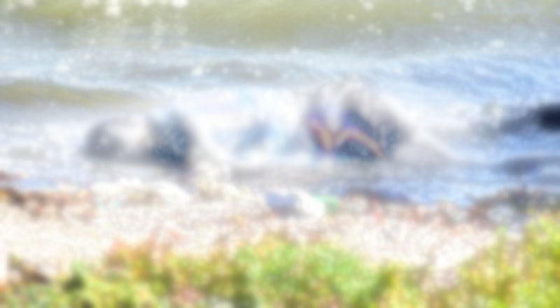 மன்னாரில் மீட்கப்பட்ட ஆணின் சடலம்; பொது மக்களின் உதவியை நாடியுள்ள பொலிஸார்