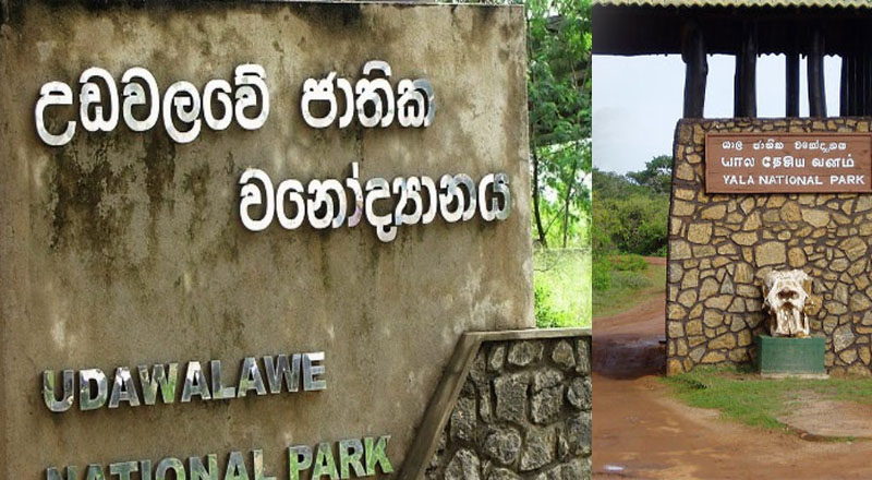 யால மற்றும் உடவளவ பூங்காக்களை மூடுவதற்கு இன்று தீர்மானம்