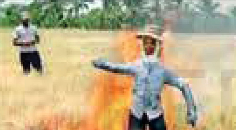 தண்ணீர் இல்லாததால் வயலுக்கு தீ வைத்த விவசாயி