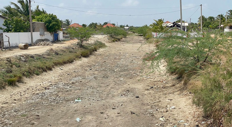 மன்னாருக்கு வந்துள்ள ஆபத்து: விவசாய நிலங்கள் கால்நடைகள் பாதிப்படையும் அபாயம்