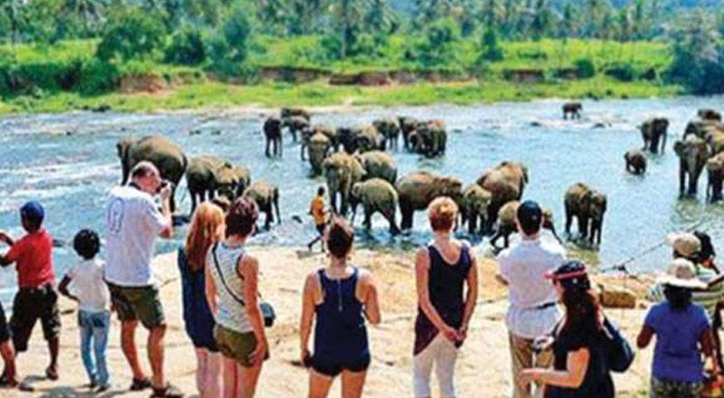 ஒரு பில்லியன் டொலர்களை தாண்டிய சுற்றுலாத்துறை!