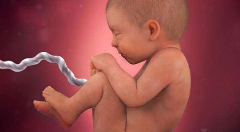 பிரசவத்தின் போது தரையில் விழுந்த சிசு மரணம்!