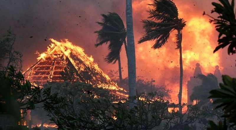 ஹவாய் காட்டுத் தீ - பலி எண்ணிக்கை 93ஆக அதிகரிப்பு