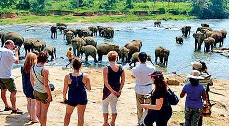 சுற்றுலா பயணிகளின் வருகை அதிகரிப்பு!