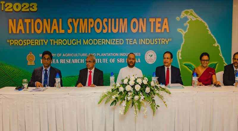 தேயிலை தொழிற்துறையின் முன்னேற்றத்திற்கு வழிவகுக்கும் ஆய்வுக் கட்டுரைகள் வெளியீடு!