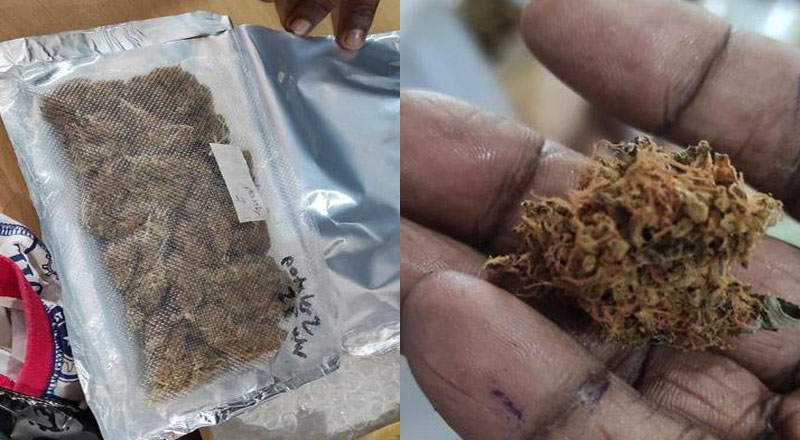 ஹஷிஷ் அடங்கிய உரிமை கோரப்படாத 15 பார்சல்கள் கைப்பற்றப்பட்டன
