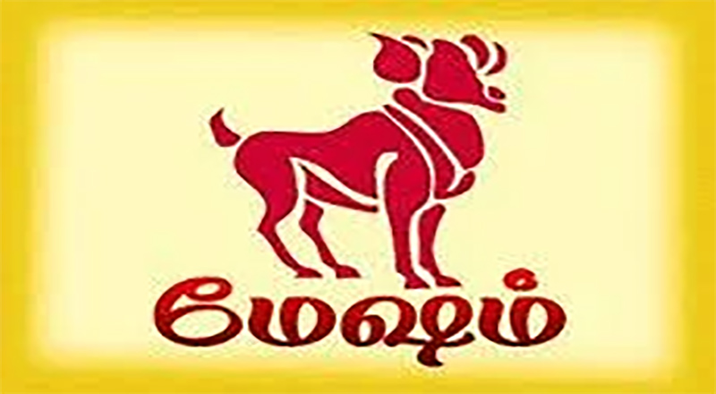 மேஷ ராசிக்கரார்களின் குணாதிசயங்கள்