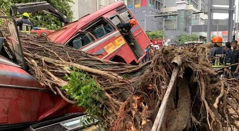 கொள்ளுப்பிட்டியில் பஸ் மீது மரம் விழுந்து விபத்து: ஐந்து பேர் உயிரிழப்பு! 17 பேர் வைத்தியசாலையில்