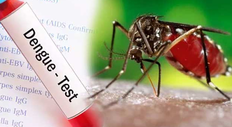 டெங்கு மீண்டும் பரவுவதற்கான அறிகுறிகள் - சுகாதாரத் துறையினர் பொதுமக்களுக்கு எச்சரிக்கை