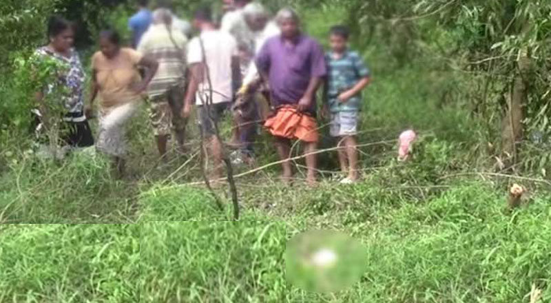 கலஹிட்டிய பாலத்திற்கு அருகில் மண்டை ஓடு கண்டெடுக்கப்பட்டுள்ளது: அங்கொடைபெண்ணின் தலையா?