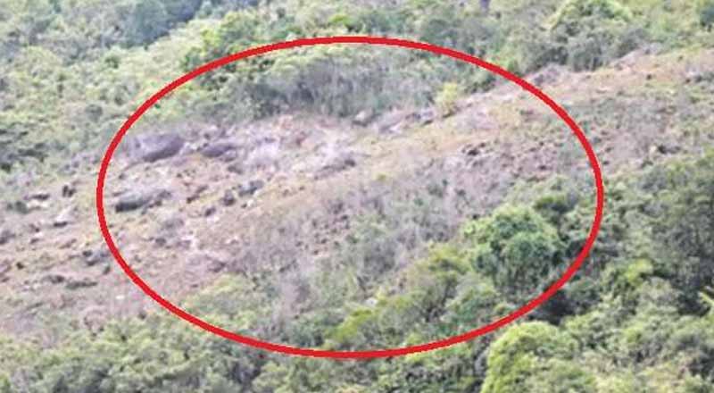 அரசியல்வாதிகளின் ஆதரவோடு அழிக்கப்பட்ட சிங்கராஜா வனப்பகுதி!