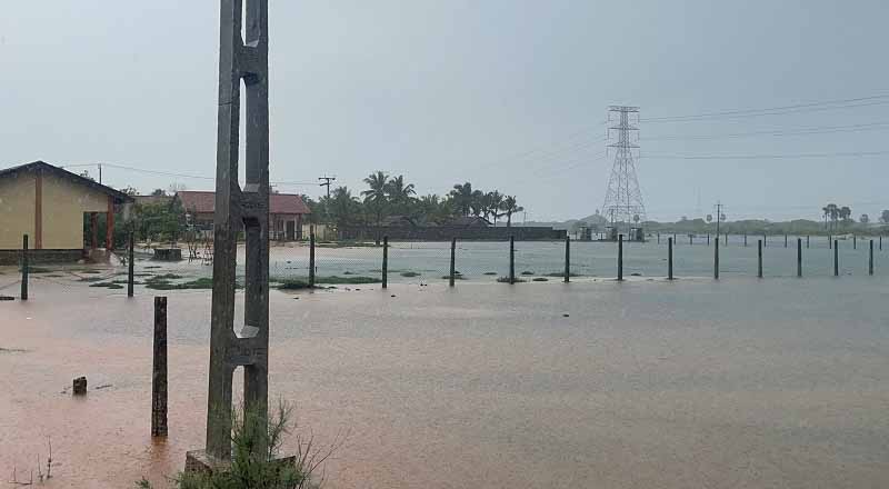மன்னாரில் கடும் மழை-மக்களின் இயல்பு நிலை பாதிப்பு