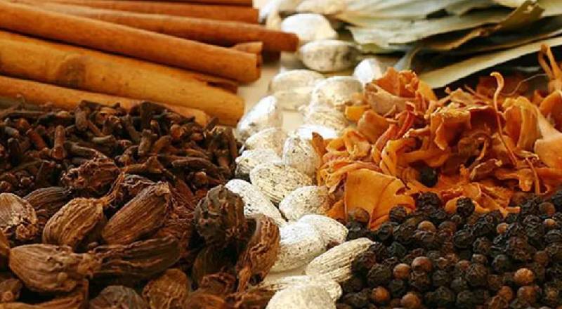 சிங்கப்பூர் நிறுவனத்துடன் இணைந்து முத்தரப்பு ஒப்பந்தத்தில் கையெழுத்திடவுள்ள இலங்கை - நடைமுறையாகவுள்ள சட்டம்!