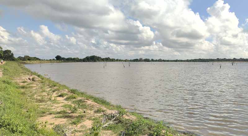 குடமுருட்டி குளத்தினை இரண்டாக பிரிக்க வேண்டாம்: வெடித்தது போராட்டம்