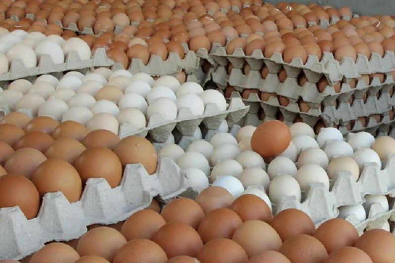 முட்டை விநியோகம் தொடர்பில் வெளியான அறிவிப்பு!